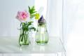 花のある新生活をはじめる。春の花瓶プレゼントキャン