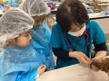 【こどもの休日の過ごし方】現役の獣医に学ぶ職業体験