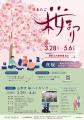 今年の春は笠間へ！花旅「あたご山桜まつり」と「笠間