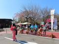 今年の春は笠間へ！花旅「あたご山桜まつり」と「笠間