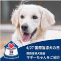 セブン‐イレブン・ジャパンが「犬と暮らしやすいまち