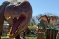 長井海の手公園ソレイユの丘に恐竜体験イベント、「恐