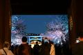 【桜咲く靖國神社】お花見は東京・九段の靖國神社へ。 【桜咲く靖國神社】お花見は東京・九段の靖國神社へ。