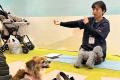 【愛犬の整体講座＆相談会】熱海の温泉リゾート宿にて