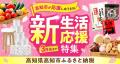 【高知市】シティプロモーションキャラクター誕生&GR 【高知市】シティプロモーションキャラクター誕生&GR