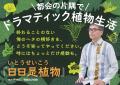 【メディアで話題】いとうせいこう『日日是植物』発売 【メディアで話題】いとうせいこう『日日是植物』発売