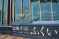 福井駅前に”恐竜の拠点”が誕生！恐竜グッズ専門店「ふ