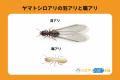 【独自調査】シロアリ業者探し「知人の紹介」が43%で