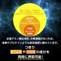 【プロテインだけじゃない!?高まる“EAA需要”】THE P 【プロテインだけじゃない!?高まる“EAA需要”】THE P