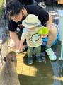 【4月18日・19日開催】メリケンパークに“小さな動物園