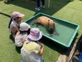 【4月18日・19日開催】メリケンパークに“小さな動物園