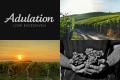 カリフォルニアのワインブランド「アデュレーション」