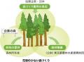 「花粉の少ない森づくり」で、100年先の快適な東京へ 「花粉の少ない森づくり」で、100年先の快適な東京へ