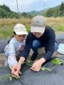 全国5カ所で開催！苗を植えて秋に収穫、累計5万口突破