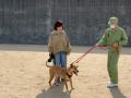 アンバサダーの伍代夏子氏が保護犬育成プログラムが実