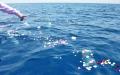 【海の日限定】「海に還る」という選択肢を。海洋散骨