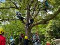 21世紀の森と広場でツリークライミング(R)体験会を開