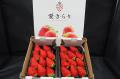 児童養護施設へ愛知県産のいちご「愛きらり」を寄贈し