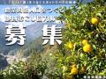 徳島県美馬市、徳島県連携スポットワークプラットフォ