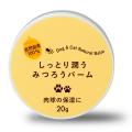 約47.7％のペットがケガ・事故を経験。見落とされがち