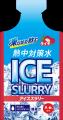 凍らせて飲んで体を中から冷やす「熱中対策水アイスス