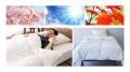 ダウン率70％以上の羽毛布団を11,000円で！新品以上に