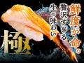 【回し寿司 活】4月7日(火)より全店で「高知 うまいも