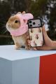 【CASETiFY】愛するペットの写真を自由にデザイン!CA 【CASETiFY】愛するペットの写真を自由にデザイン!CA