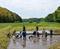 【千葉県印西市】地元米を活かした日本酒プロジェクト