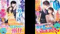 大人女性向け恋愛小説「ベリーズ文庫」「ベリーズ文庫 大人女性向け恋愛小説「ベリーズ文庫」「ベリーズ文庫