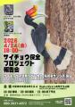 【4/24開催】マレーシアのサイチョウ研究者と写真家が