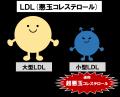 【日本初※】小型LDL（通称「超悪玉コレステロール」）