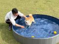 愛犬のみと安心して水あそびできる、わんちゃん専用プ