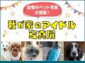 【玉川高島屋S.C.】　ゴールデンウィークイベント情報