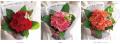 花瓶や水換えが不要の「そのまま飾れる花束」シutf-8
