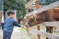 那須千本松牧場 栃木県出身アーティストが牧場でutf-8