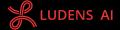 Ludens AI、エンジェルラウンドにて約６億円の資金調