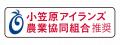 【宝酒造】タカラ「焼酎ハイボール」〈東京グリーンレ 【宝酒造】タカラ「焼酎ハイボール」〈東京グリーンレ