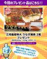 【愛知県西尾市ふるさと納税】うなぎが当たる事業者コ