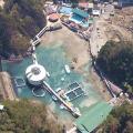 【下田海中水族館】下田市での子育てに水族館をお役立
