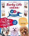 看板犬がいる横浜カフェ「cafe&dining ONE」が「Barky