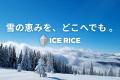 【春の雪体験】アイスライス、スノーピークHQ15周年祭