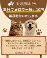 「フォローするだけで支援につながる」SILKFULL、犬猫