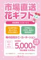 PLANT全店で「母の日フェア」を開催　～花・菓子utf-8