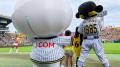 ― 阪神甲子園球場で「J:COM光 デー」を開催 ―フィギュ