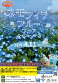 【埼玉県北本市】ネモフィラが見ごろです！