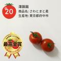 ミニトマト日本一が決定！東京都府中市「さわとまと柔