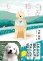 犬の小さな行動が町を変えた！感動の実話ストーリー。