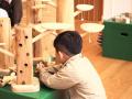はたらく林業機械が大集合！木のおもちゃで自由に遊ぼ