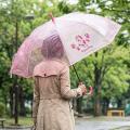【梅雨・猛暑対策】10本から作れるオリジナル傘5種を